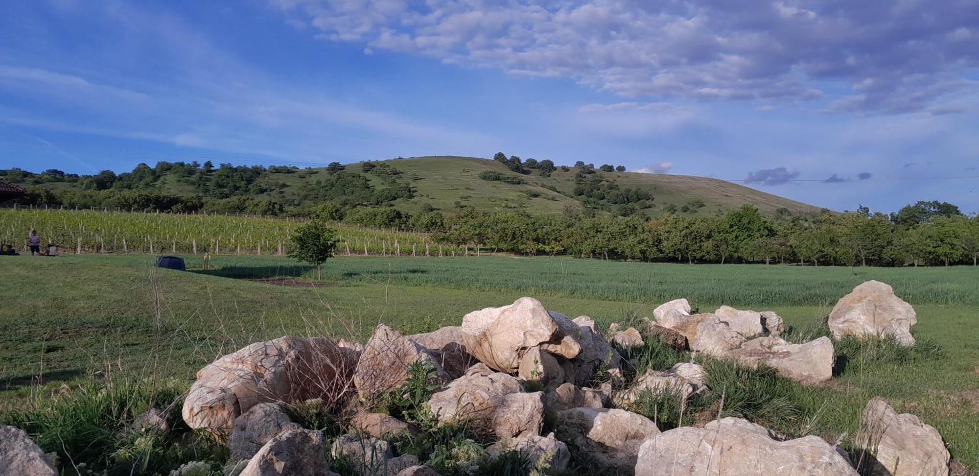 Ubytovani Na Sklepe U Prochazku Pouzdrany Cameră foto